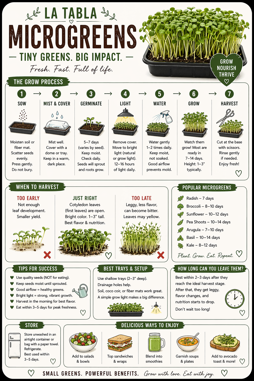 Beginner's Guide to Growing Microgreens at Home — Matte Print
