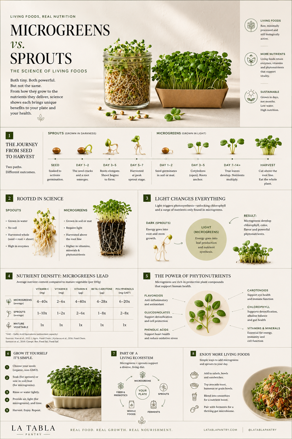 La Tabla Microgreens – Seasonal Mix