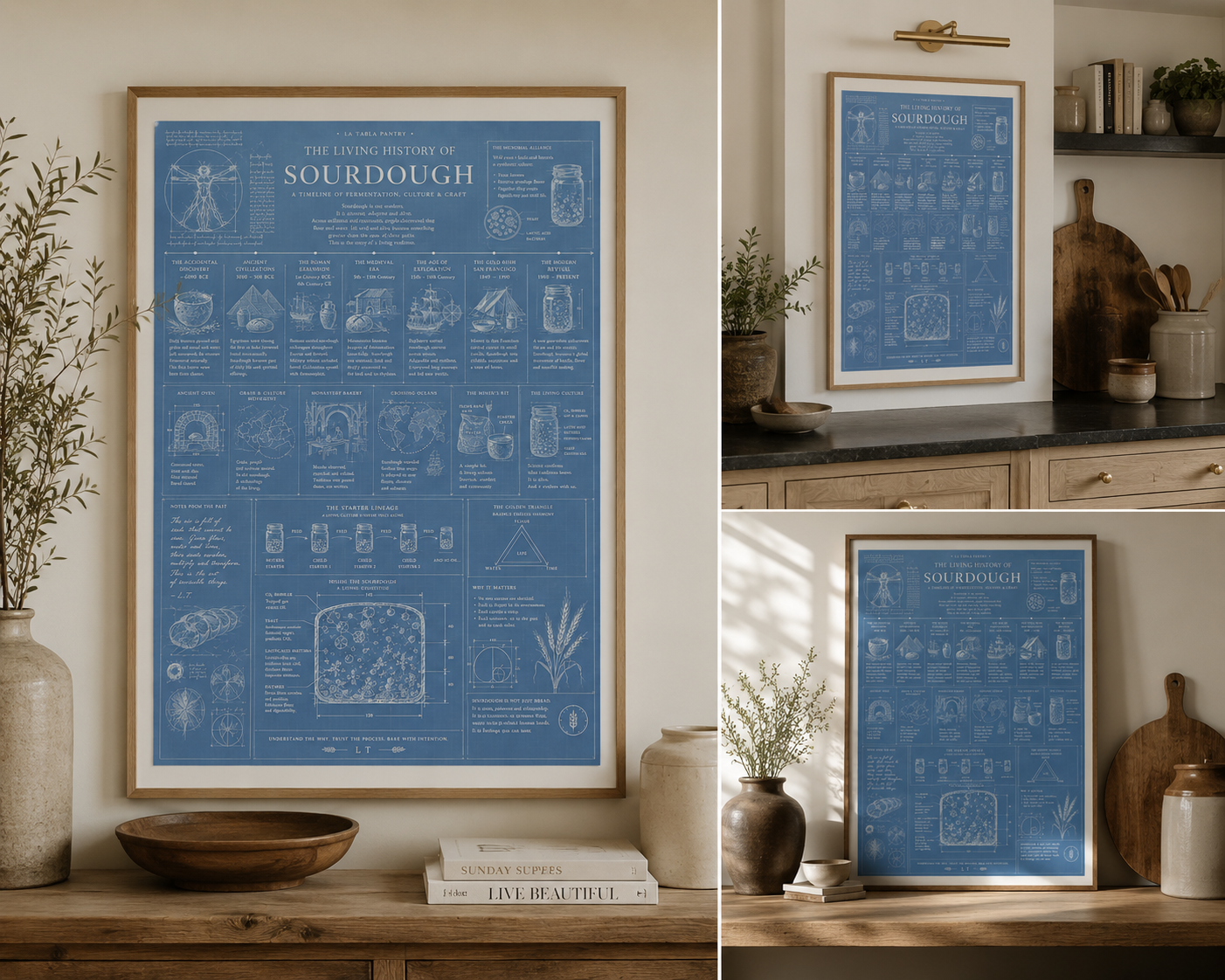 Field Notes Series: No. 01 — The Living History of Sourdough (Blueprint Edition)